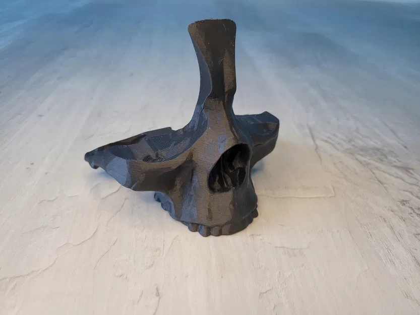 Kệ Kính Mắt Hình Đầu Lâu - Image 5