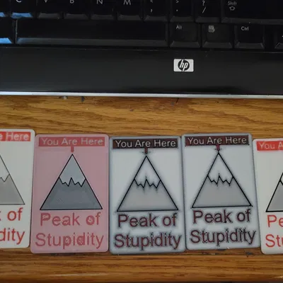 Giải thưởng Túi Đỉnh Cao Ngu Ngốc