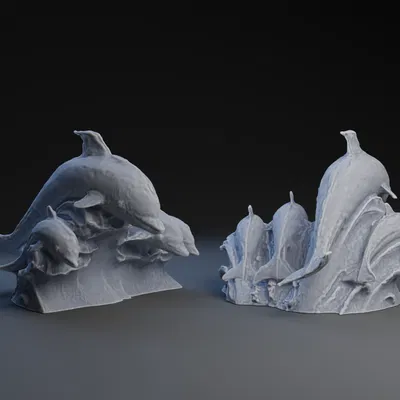 Đàn Cá Heo Lướt Sóng