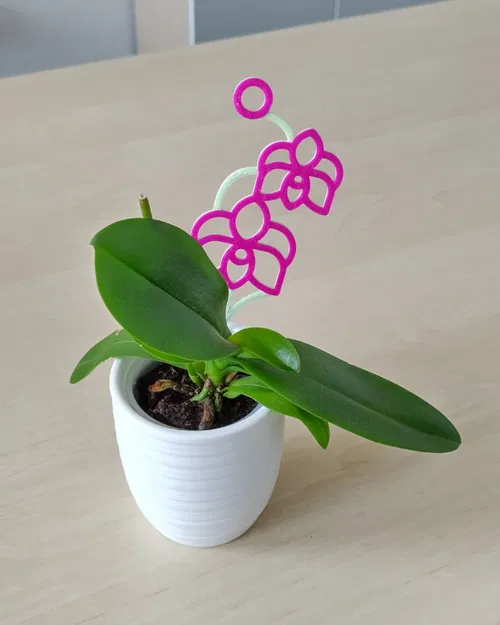 Giá Đỡ Lan Hồ Điệp - Image 1