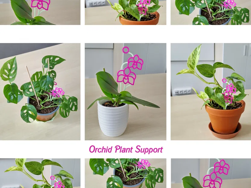 Giá Đỡ Lan Hồ Điệp - Image 2