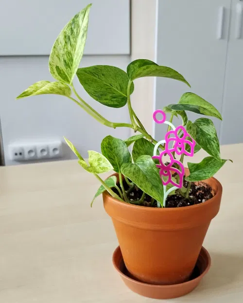 Giá Đỡ Lan Hồ Điệp - Image 3