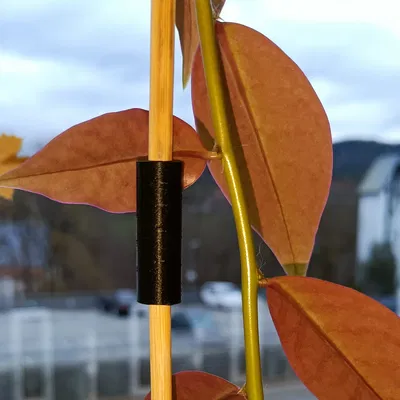 Khớp nối que gỗ 5mm cho cây cảnh