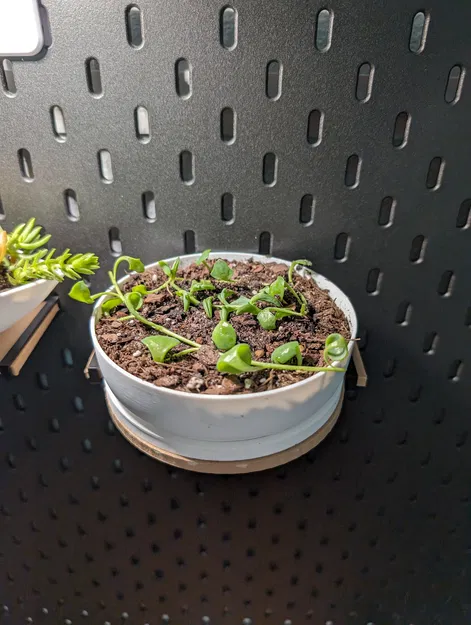 Kệ Skadis Hình Tròn Có Chân Đỡ - Image 3