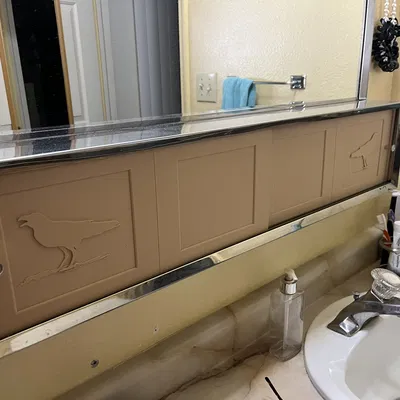 Cửa Tủ Thuốc Cỡ Lớn Có Tay Nắm Trượt Hình Con Quạ