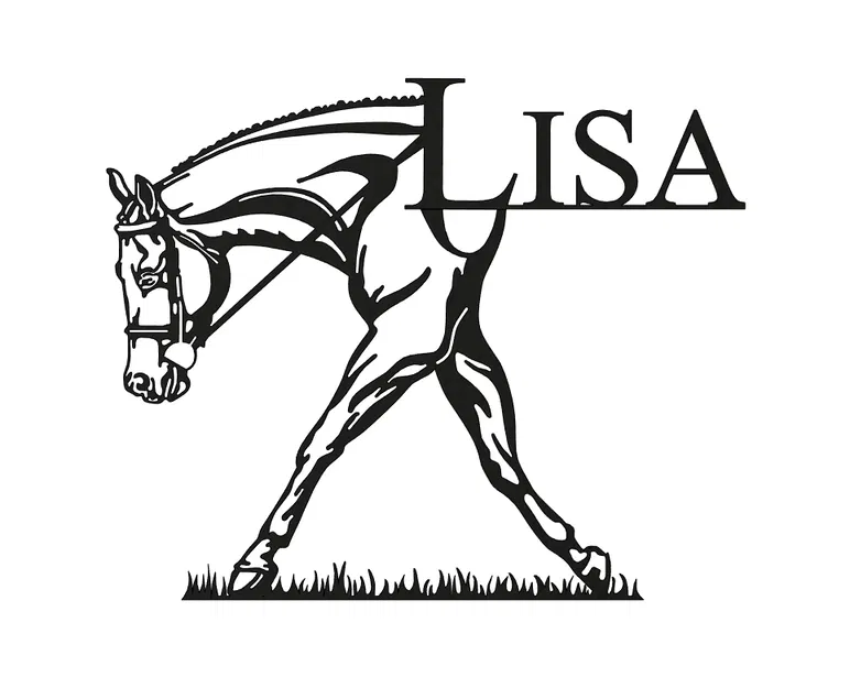 Ngựa & Tên - Image 1