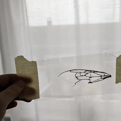 Bionic Bumblebee Wing cho Mavs