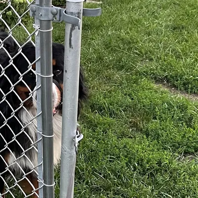 Hàng rào/Gate Post Bushing