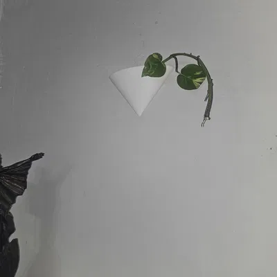 Chậu cây thủy canh treo tường