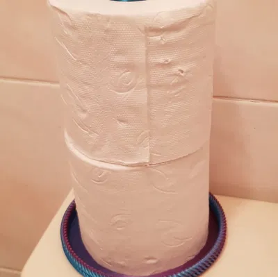 KHAY ĐỰNG GIẤY VỆ SINH TP HOLDER