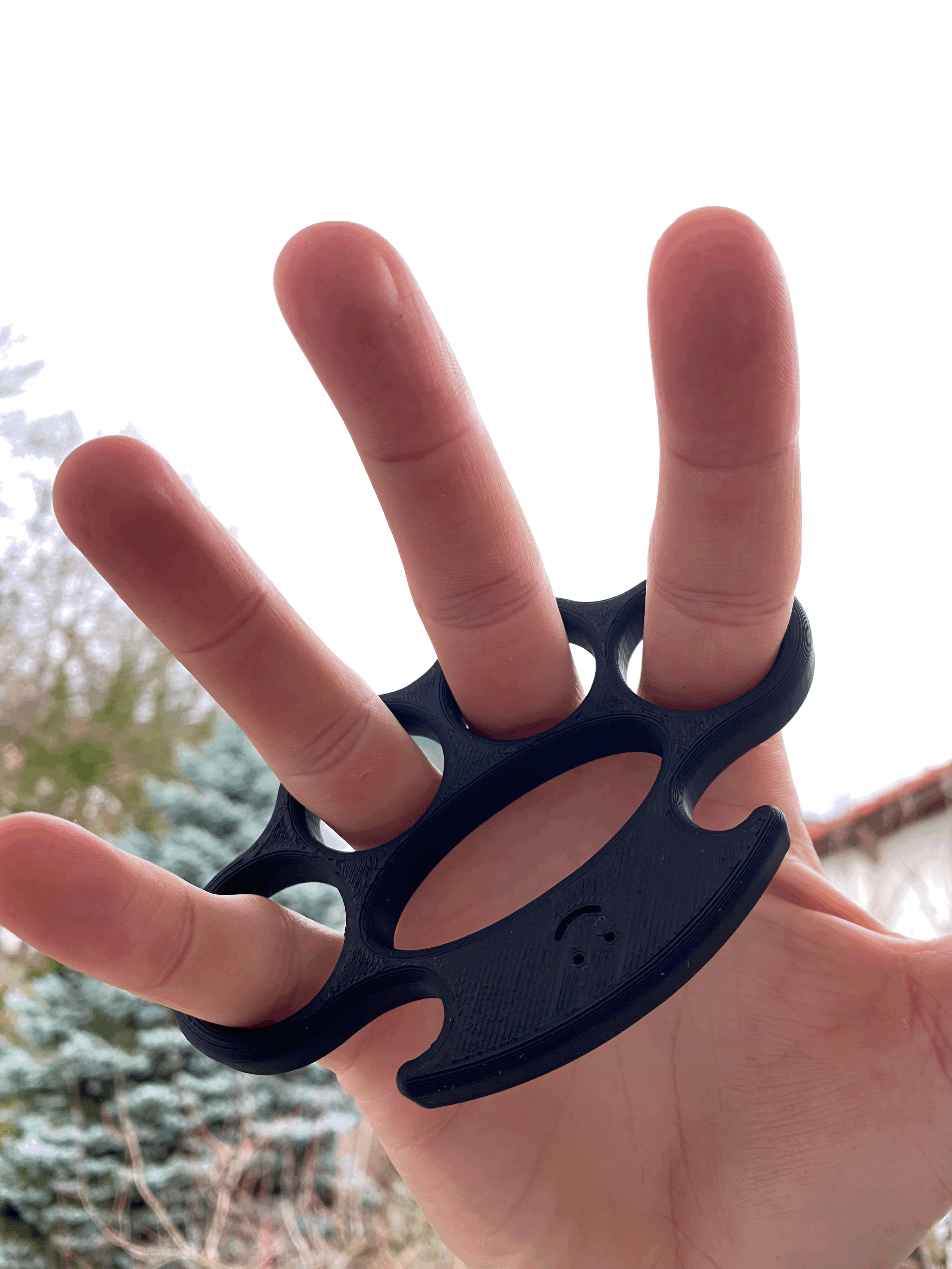 Gù Bạc / Nấm Đấm Đồng - Image 2