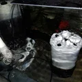 Bộ lọc dòng chảy / Bộ lọc PO4 - Thumbnail 5