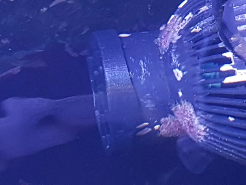 Lưới Chắn Bơm Tunze Nanostream - Image 3