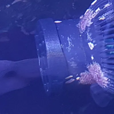 Lưới Chắn Bơm Tunze Nanostream