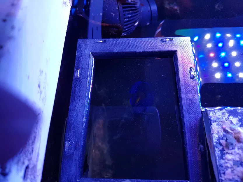 Vòng cho cá ăn bể thủy sinh Nam châm Neodym - Image 1