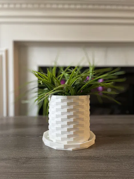 Chậu Cây Hiện Đại - Image 1