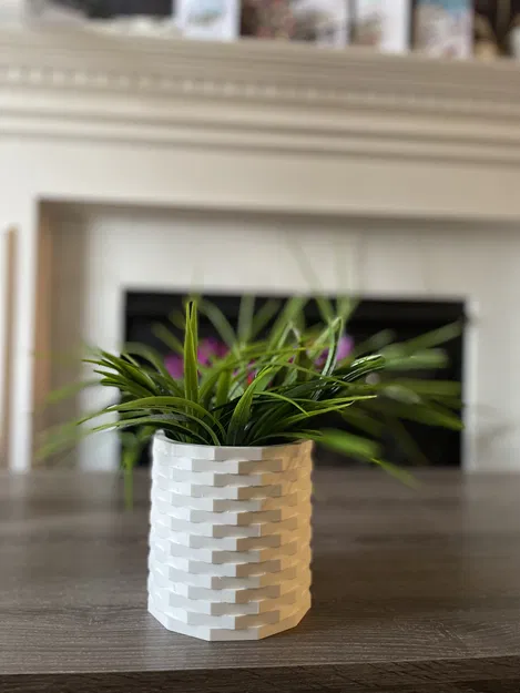 Chậu Cây Hiện Đại - Image 5