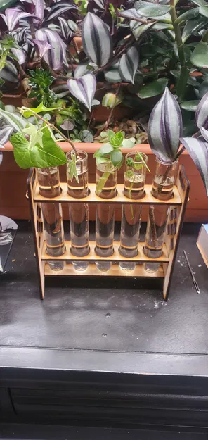 Giá đỡ ống nghiệm trạm nhân giống cây trồng cắt bằng laser - Image 1