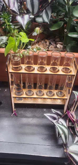 Giá đỡ ống nghiệm trạm nhân giống cây trồng cắt bằng laser - Image 2