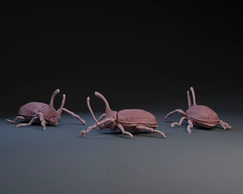 Mô hình 3D Bọ cánh cứng Tê giác - Image 1