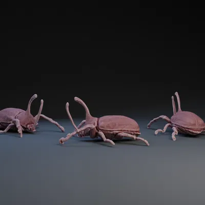 Mô hình 3D Bọ cánh cứng Tê giác