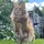 EdwinSmith_295701