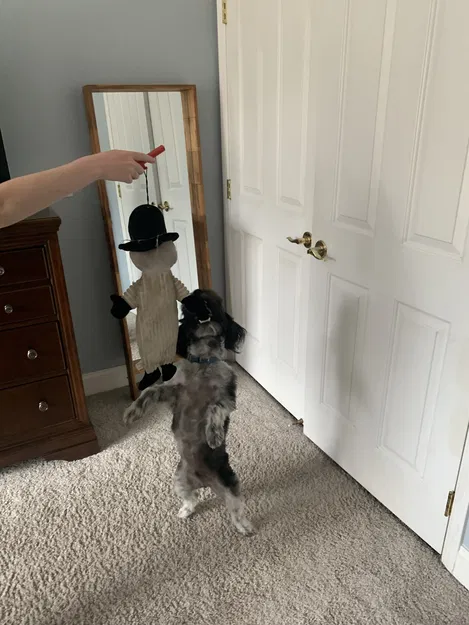 Cái Tay Cầm Đồ Chơi Cho Chó - Image 1