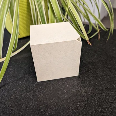 Bình Tưới Cây Lập Phương (Watering Can)³