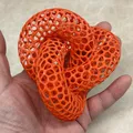 VoroKnot - Mô Hình Trang Trí Hiệu Ứng Voronoi - Thumbnail 1