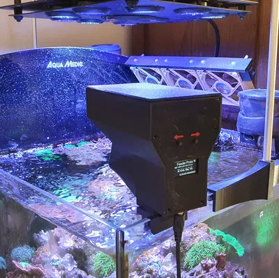 Máy cho cá ăn kết nối mạng