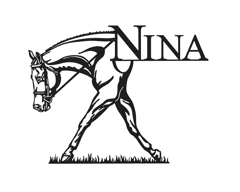 Ngựa & Tên - Image 1