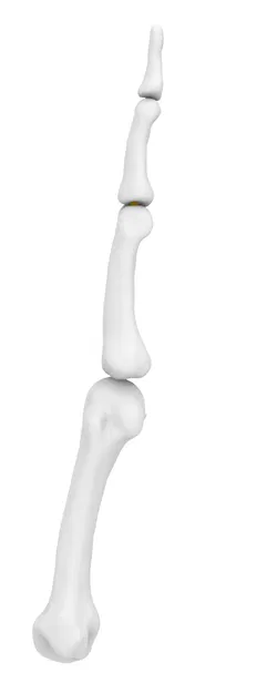 Ngón trỏ linh hoạt - Image 1