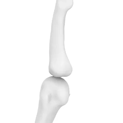 Ngón trỏ linh hoạt