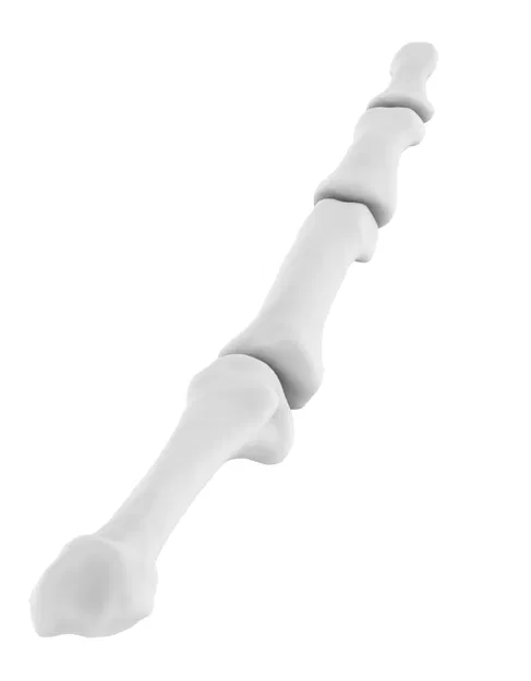 Ngón trỏ linh hoạt - Image 4