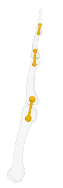 Ngón trỏ linh hoạt - Image 5