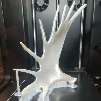 Tuyển tập sừng nai sừng tấm