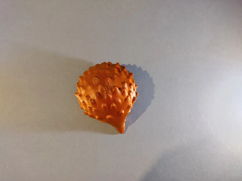 Nhím Nhỏ Dễ Thương - Image 2