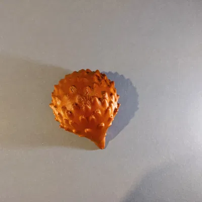 Nhím Nhỏ Dễ Thương