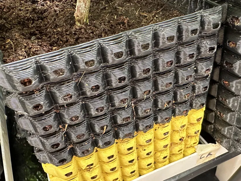 Rễ phát triển lớn không khí cắt tỉa nồi - Image 3