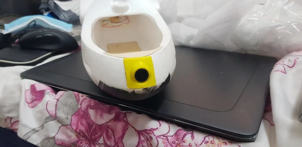 Các Bộ Phận Của Chim Alba - Image 1