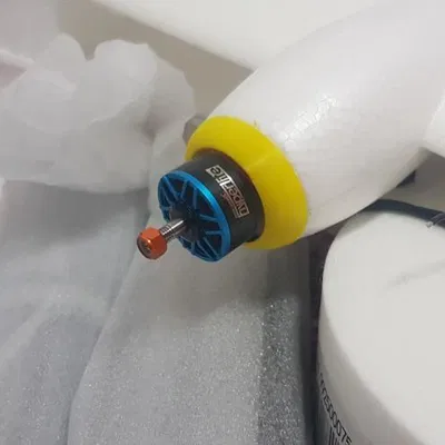 Các Bộ Phận Của Chim Alba