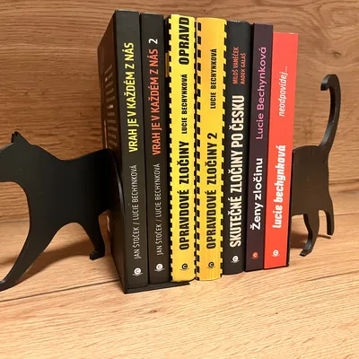 Kệ Sách Hình Con Mèo