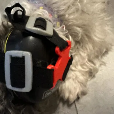 Chụp tai bảo vệ cho chó