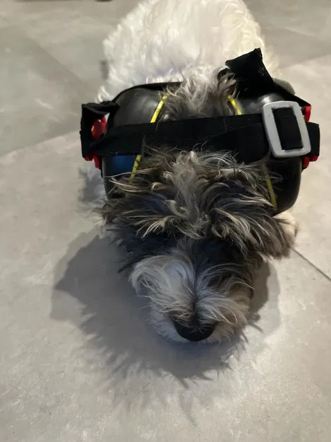 Chụp tai bảo vệ cho chó - Image 2