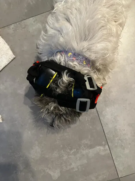 Chụp tai bảo vệ cho chó - Image 3