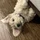 Wcrawf_1600369