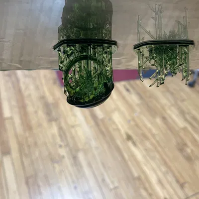 Đội trưởng Dwayne Dwayne