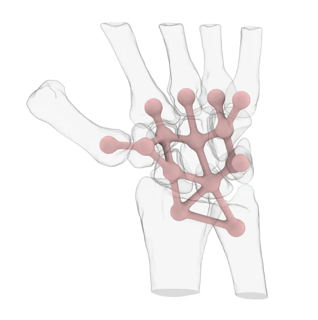 Cổ Tay Co Giãn - Image 2