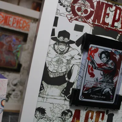 Giá Đỡ Thẻ Bài, Dùng Để Trưng Bày.