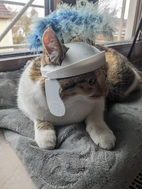 Mũ bảo hiểm mèo La Mã - Image 1